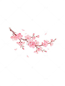 粉色樱花枝插画设计元素