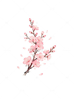 樱花手绘插画素材