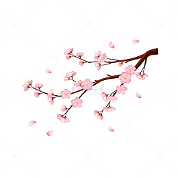 樱花枝条春季插画设计元素