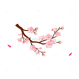 淡雅樱花插画