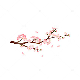 樱花插画春天景象矢量素材