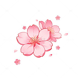 樱花插画春天浪漫装饰图案