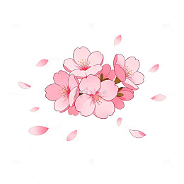 樱花盛开春天插画