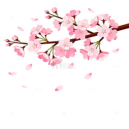 樱花盛开矢量插画