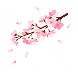 樱花插画春天浪漫元素