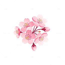 樱花插画春天花卉装饰图案