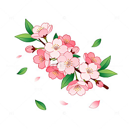卡通樱花插画设计素材