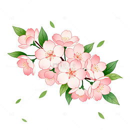 水彩花卉插画设计素材