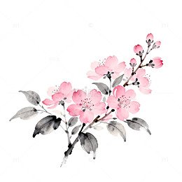 水彩海棠花枝水墨画