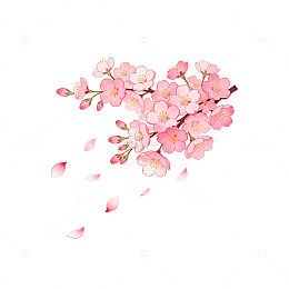 樱花绽放春意浓水彩画素材