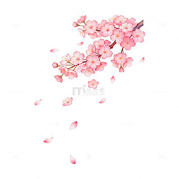 樱花盛开插画矢量素材