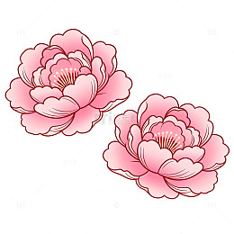 粉色牡丹花卡通插画