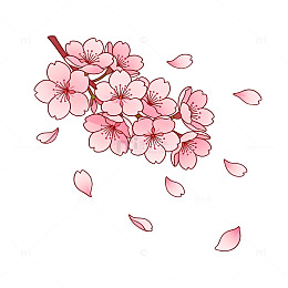粉色樱花插画设计素材