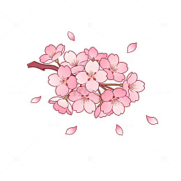 樱花插画手绘清新素材