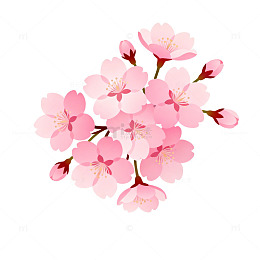 樱花图案设计元素