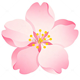 樱花插画设计素材