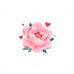 粉色牡丹花卉插画