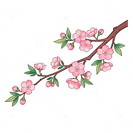 樱花枝条卡通插画