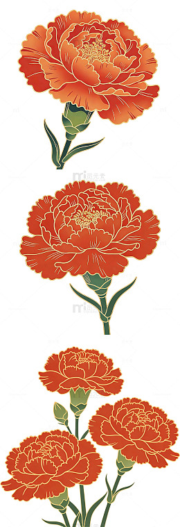 简约国风的康乃馨元素