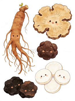 卡通风格中药材插画设计素材