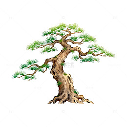 古韵松树艺术插画