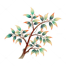 简约树枝植物插画