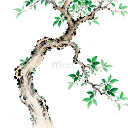 水墨风盆景树枝插画