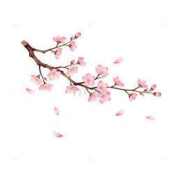 樱花枝条插画设计素材