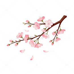 樱花插画