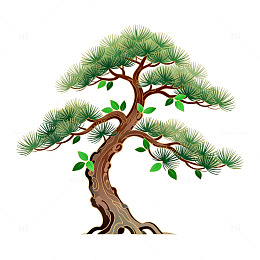 松树矢量图插画素材