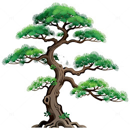 松树插画设计素材