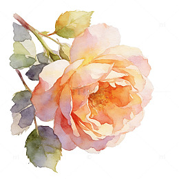 感恩清新手绘风格的温柔治愈水彩