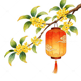 水彩桂花灯笼插画