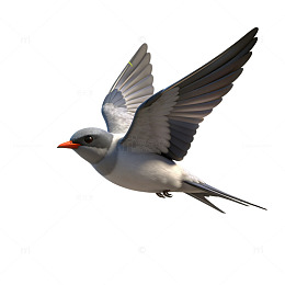 飞翔燕子插画图