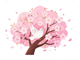 樱花树白鸽插画