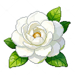 像素风格白色玫瑰花插画