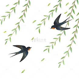 春燕柳枝插画设计素材