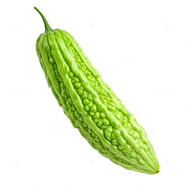清新绿色苦瓜食材