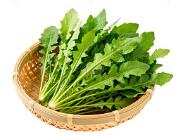 竹篮新鲜绿叶菜