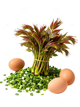 清新蔬菜鸡蛋静物