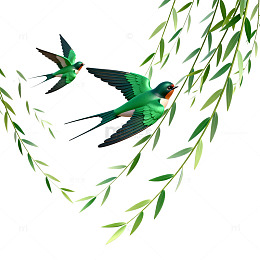 春天燕子飞柳枝矢量图