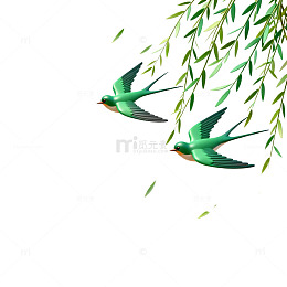 春日飞燕柳枝插画