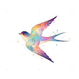 彩虹鸟艺术插画