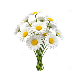 清新素雅雏菊花束插画素材