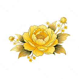 金色牡丹图案传统插画