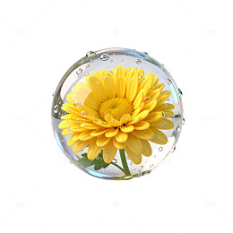 玻璃球中的黄色小花