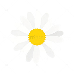 简约风格雏菊图案设计素材