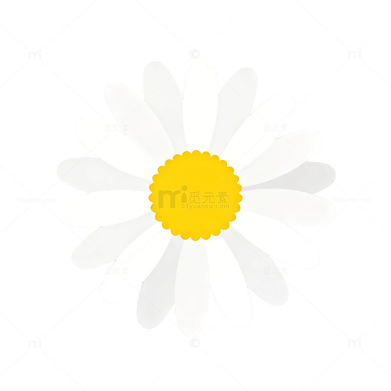 简约风格雏菊图案设计素材