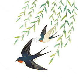 春天燕子柳枝插画