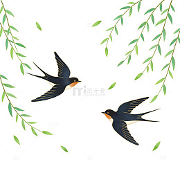 春季燕子柳枝插画